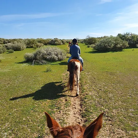 퀸타 페드라 도스 비코스 4* 알부페이라