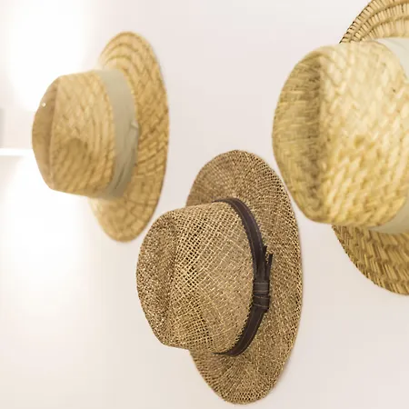 퀸타 페드라 도스 비코스