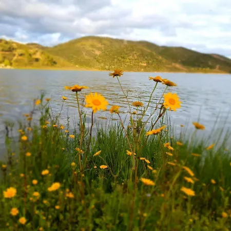 퀸타 페드라 도스 비코스 알부페이라