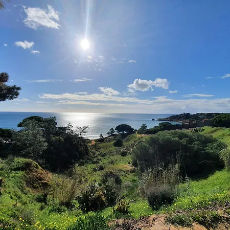 アパートホテル Quinta Pedra Dos Bicos