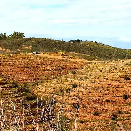Apart-hotel Quinta Pedra Dos Bicos